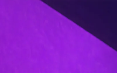 How Agent AI Transforms Your Business